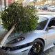 Illustration for article titled Ferrari Uses Drive-Thru At Restaurant That Doesnt Have One